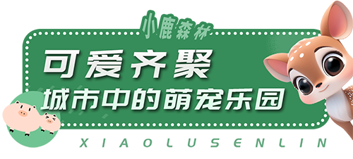 AC米兰(中国)体育官方网站-MILAN SPORTS