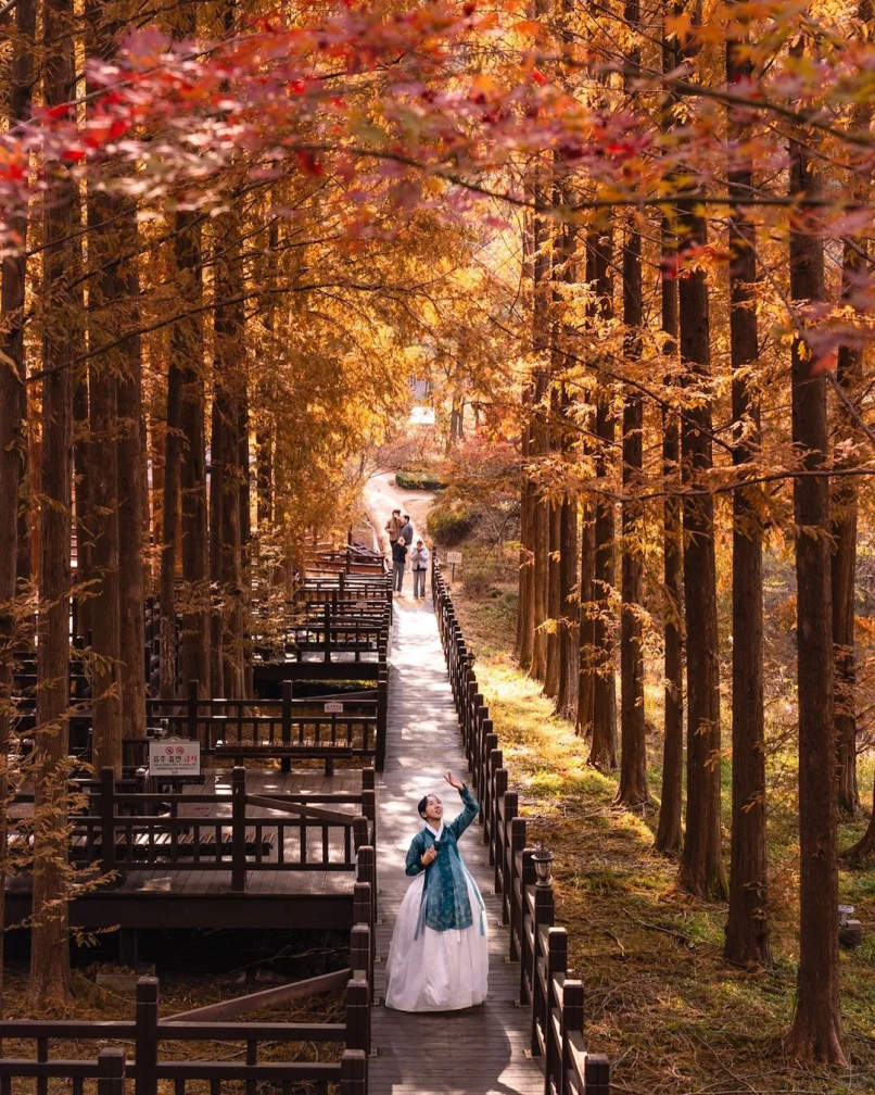 AC米兰(中国)体育官方网站-MILAN SPORTS