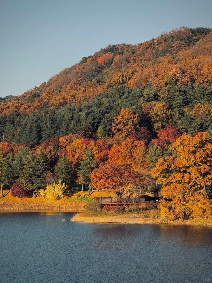 AC米兰(中国)体育官方网站-MILAN SPORTS