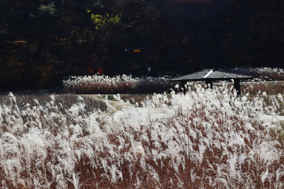 AC米兰(中国)体育官方网站-MILAN SPORTS